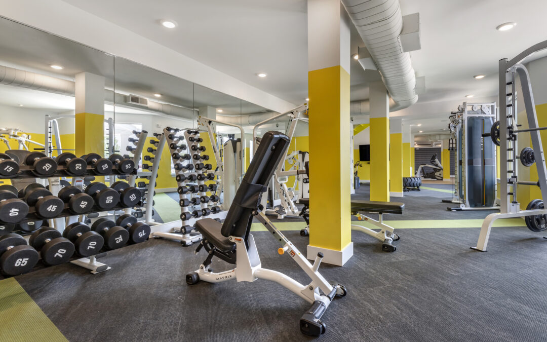 New Year, New Space: Apartments Near NCSU Raleigh for Your Goals