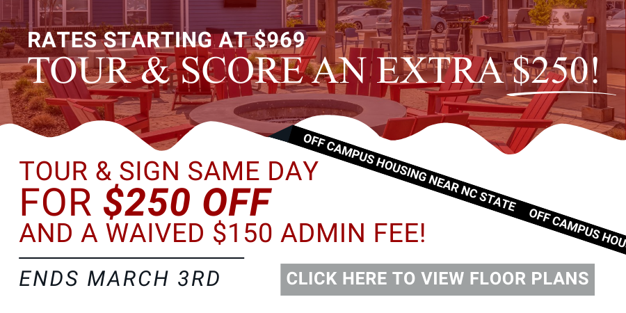 Maci 2025 New Lease Campaign PopUp (7)