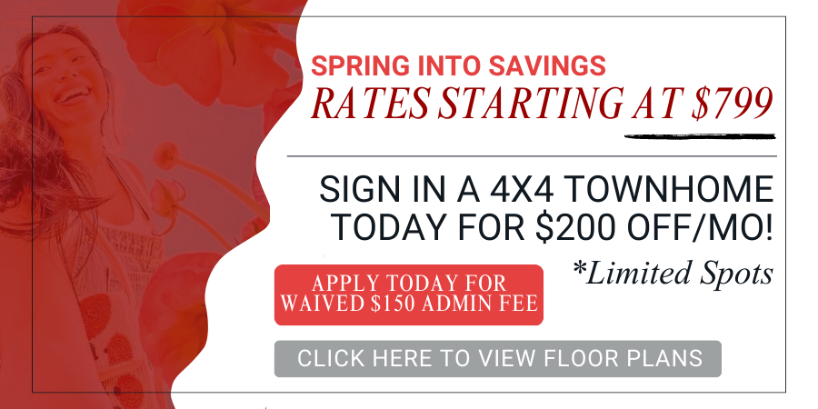 Maci 2025 New Lease Campaign PopUp (19)