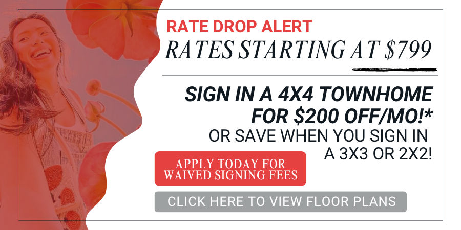 Maci 2025 New Lease Campaign PopUp (30)